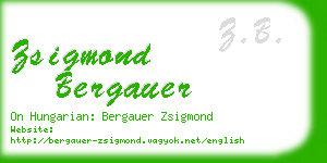 zsigmond bergauer business card